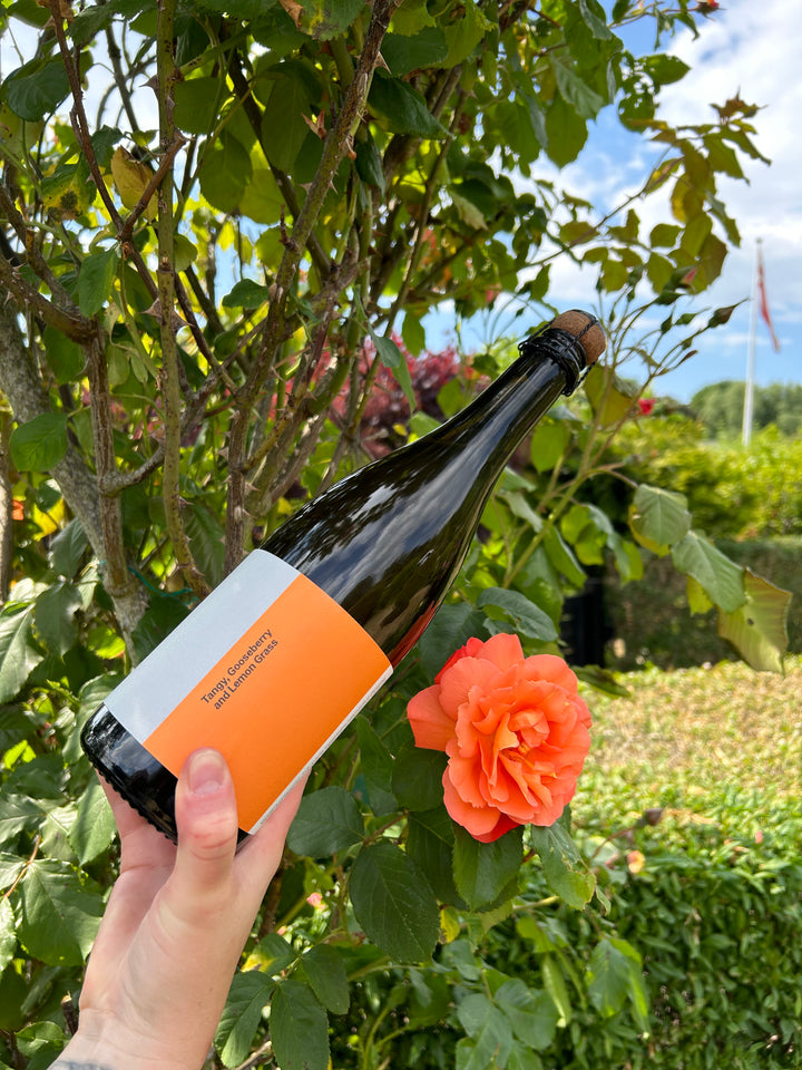 sparkling wine non alcoholic