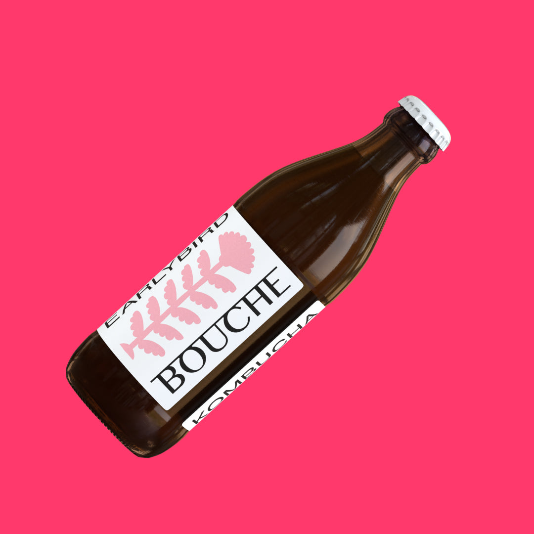BOUCHE EARLYBIRD KOMBUCHA 24 х 330 ml